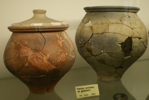 Vases ovoïdes.