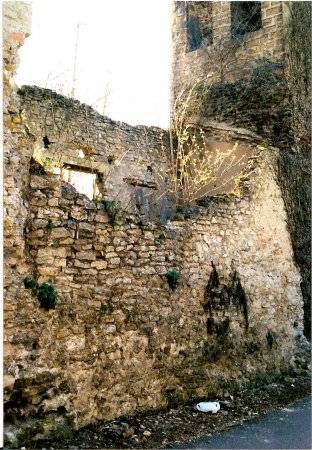 Vestiges d'une maison construite entre deux piles. Photo M. Heilig.