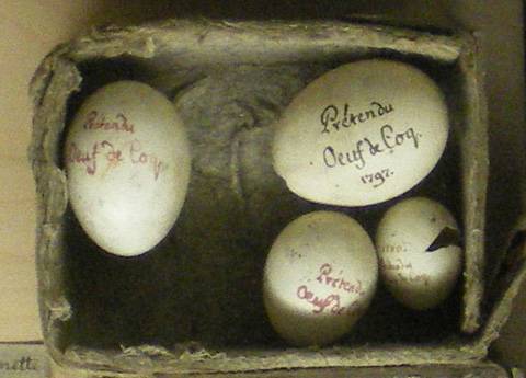 Prétendus oeufs de coq. Musée Oberlin de Waldersbach.