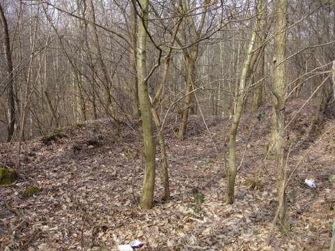 Tranchée allemande le long de la route de Schirrhein.