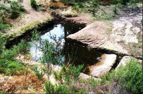 Le Bassin de Taranis