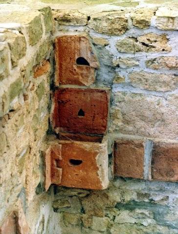 Tubuli du tepidarium