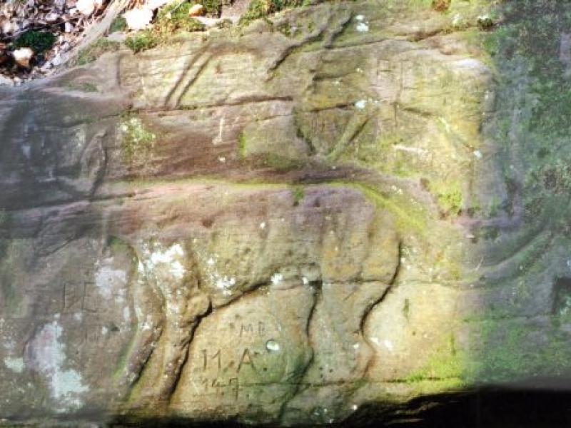 Le grand chien et les cerfs affrontés