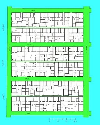 Croquis de l'implantation des insulae A VII, A VI et A V.