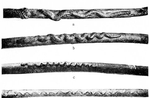 Colliers à serpents trouvés dans les tertres funéraires de la forêt de Haguenau.