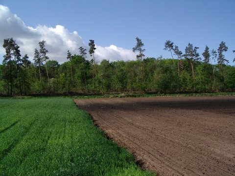 Traces de la ligne de la Moder vers Schweighouse.