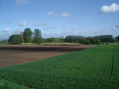 Traces de la ligne de la Moder vers Schweighouse.