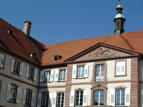 Nid de cigognes à l'ancien hôpital.