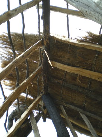 Détail de la charpente.